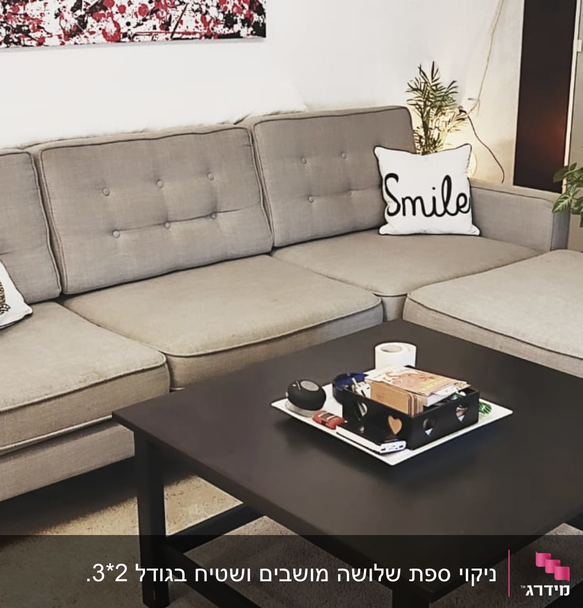 ספה אפורה עם כריות, שולחן קפה שחור